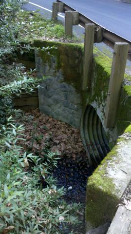 2012-02-22_09-14-06_796.jpg