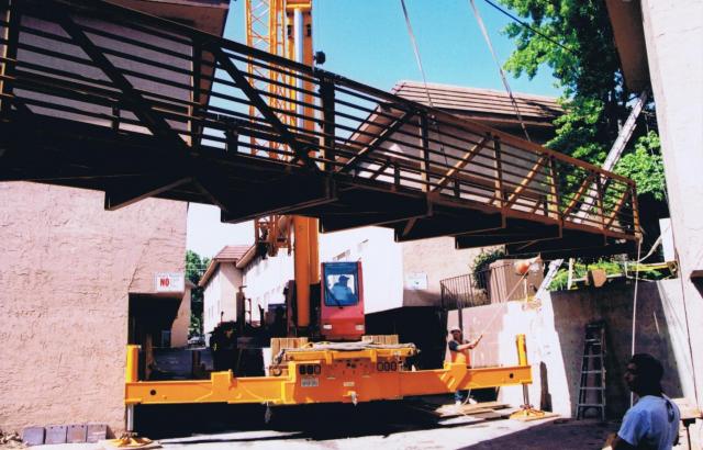 BIRDGE_002.jpg