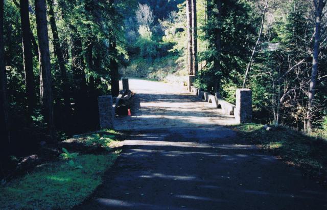 BIRDGE_003.jpg